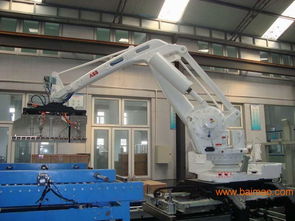 智慧農(nóng)業(yè)新篇章 三農(nóng)機械機器人碼垛成套設(shè)備的技術(shù)革新與市場展望